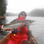 Miramichi River Report for the Doaktown area as of May 2nd